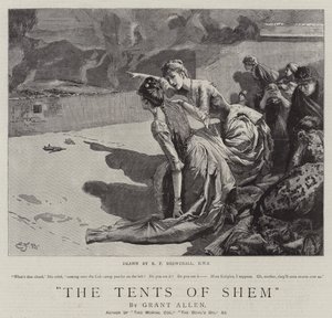 Namioty Shema